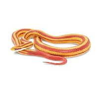 Figurita de Serpiente de Maíz | Figura realista de 5,25" | Juguetes para Niños | No tóxicas y Libres de BPA | Apto para Niños de 3+ | Safari Ltd