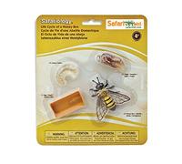 Figuritas del ciclo vital de la abeja de la miel | Colección del ciclo vital de la abeja en miniatura | Juguetes Educativos para Niños | No tóxicas y Libres de BPA | Apto para Niños de 4+ | Safari Ltd