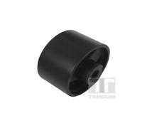 Fijación, diferencial TEDGUM 00028545