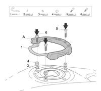 SHAD Click System Adaptador de tanque para Hombres