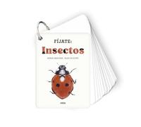Fíjate: insectos: Pequeña guía para iniciarse en la observación de insectos: 5
