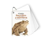 Fíjate: reptiles y anfibios: Pequeña guía para iniciarse en la observación de la naturaleza.