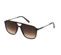 Fila gafas de sol sfi215 shiny dark havana 56/18/145 para hombre