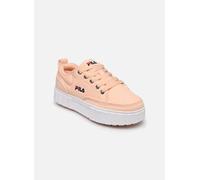 FILA Sandblast 33 Rosa