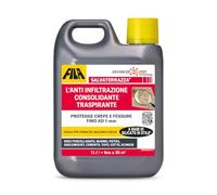 Fila Surface Care Solutions - Salvaterrazza® hidrorepelente para terrazas y exteriores con acción consolidante y anti-infiltración - Envase de 1L