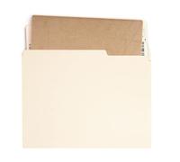 File Folders, 1/3 Cut Tabs Paper Organizers, 100-Piece Document Holders, Sturdy Filing Supplies, Efficient Paper Management, Ideal for Home, School, Work, Business, Contract, 10.08x9.49 Inches