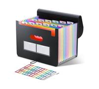File Organizer, 12 Pockets Expanding File Folders, Portable Monthly Bill Receipt Organizer, Colorful Tabs, Letter/A4 Size for School, Home and Office,