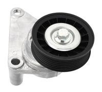 FILFEEL Conjunto de Tensor de Correa con Polea 12554027 para 1500 2500 3500