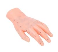 FILFEEL Modelo de Acupresión de la Mano Izquierda Gráfico de Puntos de Acupuntura de la Mano Modelo de Enseñanza de Reflexología con Letras de Alta Definición para Exhibición de