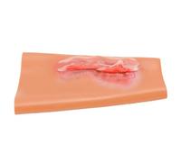 FILFEEL Modelo de Trauma de Brazo de Silicona, Manga Elástica para Práctica con Textura de Piel y Respuesta Táctil for Entrenamiento de Cuidado de Heridas y Enseñanza de Lesiones