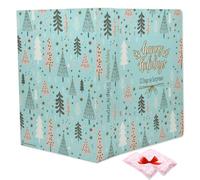 Fill it Yourself Empty Gift Packaging, Graduation Celebration 12 - Day Surprise Blind Box, Creative Empty Surprise Box, for Graduation, Birthday, Holiday with Raffia filling (Holiday)