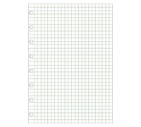Filofax 152020 - Papel de cuaderno