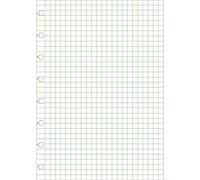 Filofax - Recambio para cuaderno tamaño A5 (a cuadros), color blanco.