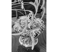 Filosofia Grega: Decifrando a identidade da sociedade humana: Uma jornada contemplativa pela alma da sociedade