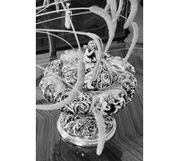 Filosofía griega El arte de la guerra: Edición multilingüe con texto original en griego