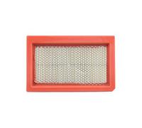 Filtro de aire Derbi GPR/ Senda 125 4T Tecnium