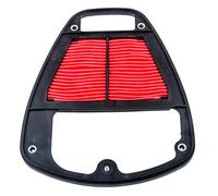 FILTRO AIRE HIFLOFILTRO HFA2919