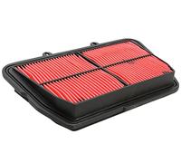 FILTRO AIRE HIFLOFILTRO HFA6501