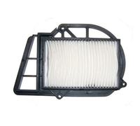 MIW FILTERS MIW Y4193 Filtro de aire