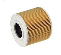 Karcher Aspiradora 6.414-789.0 en seco y húmedo