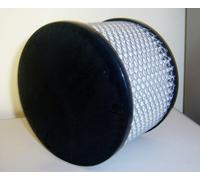 Filtro Aspiradora/Líquidos Lavable Original Lavorwash Ashley 110 200