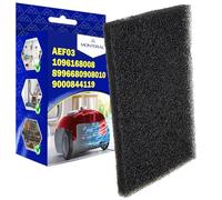 Filtro Aspiradora para Motor para Electrolux AEF03 1096168008 8996680908010 | 9000844119 - MONTERAL