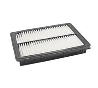 Filtro carbón activado Filtro de aire del motor 28113-C1100 compatible con Hyundai Sonata 2015-2017 2.4L AF1100