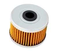 Filtro de Aceite de Papel Profesional Road Passion Apto for BN125 BR125 KFX450R KL250 KLX110 KLX125 KLX140G KLX140L KLX250 KLX250R(2 pcs)