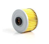 Filtro de Aceite for Motocicleta Compatible con Loncin VOGE Valico 300R/RR/AC/GY/DS for Rally 300 300AC 300DS CR6 LX300-6A(1PC)
