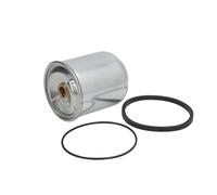 Filtro de aceite HENGST FILTER Z10 D64
