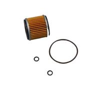 Filtro de aceite Limpiador de filtro de aceite de motor compatible con Benelli TNT25, TNT250, BN251, TRK251, BN, TNT, TRK LEONCINO 25, 250, 251 y 250 cc.(Filter and seal)