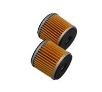 Filtro de aceite Limpiador de filtro de aceite de motor compatible con Benelli TNT25, TNT250, BN251, TRK251, BN, TNT, TRK LEONCINO 25, 250, 251 y 250 cc.(2pcs oil filter)