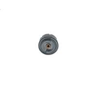 Filtro de aceite para BOSCH F 026 407 099 para DISCOVERY II (L318) 2.5 1998-2004