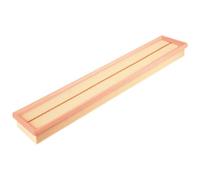 Filtro de aire BLUE PRINT ADBP220058