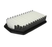 Filtro de aire BLUE PRINT ADG022135