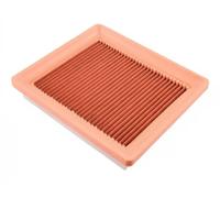 Filtro de aire Cartucho filtrante ADF122206 BLUE PRINT para FORD FIESTA V