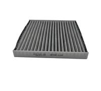 Filtro De Aire De Habitáculo Para Venucia D50 R50 M50v Para Nissan Sylphy G11 Para Dongfeng Forthing S50 Para Rich Para Aeolus A60 Para Ora R1 Accesorios Filtros De Coche