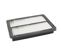 Filtro de aire del motor 28113-C1100 compatible con Hyundai Sonata 2015-2017 2.4L AF1100 Filtro de aire de cabina Filtro de habitáculo