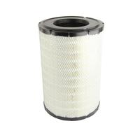 Filtro de aire DONALDSON P532503