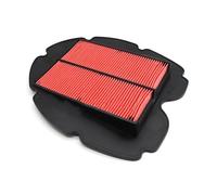 Filtro De Aire Filtro De Aire Motocicleta Para Yamaha TDM900 RN08 A RN11 RN18 2002-2013 TDM 900 RN 08 11 18 Elemento Admisión Del Motor Limpiador Filtros Admisión Motocicleta