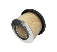Filtro de aire FILTRON AM425