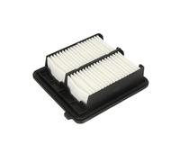 Filtro de aire FILTRON AP105/4