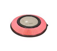 Filtro de aire FILTRON AP123