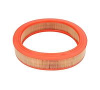 Filtro de aire FILTRON AR306