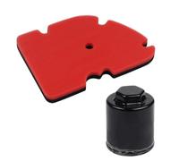 Filtro De Aire Filtros De Aire Y Aceite Para Motocicleta Para PIAGGIO MP3 250 Para VESPA GT 200, 60, L, GTS 300 Admisión Elemento Esponja Filtro Filtros Admisión Motocicleta(Colocar)