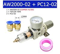 Filtro de aire for compresor neumático AW2000-02, tratamiento de filtros, regulador de presión, manómetro y separador de aceite.(AW2000-02 C PC12-02)