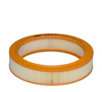 Filtro De Aire Hengst Filter E89L01 para Vag