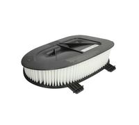 Filtro de aire Cartucho filtrante E1073L HENGST FILTER para BMW X5 X6 X3