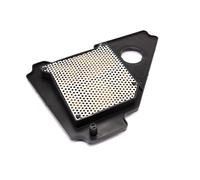 Filtro De Aire Hiflo HFA4103 Para Yamaha YBR 125 ED YBR125 SPD RE Año 2005-2016