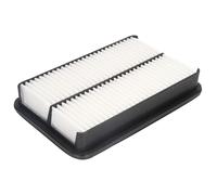 Filtro de aire JC PREMIUM B22049PR